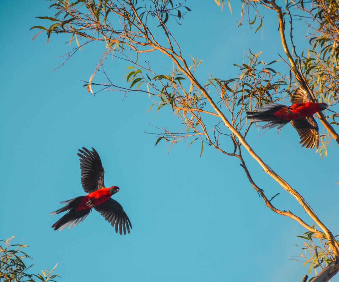 Aged care jobs in Strathpine Aged Care, QLD.